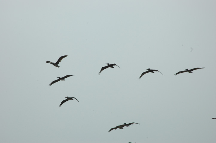 Moonstone Beach 062.jpg